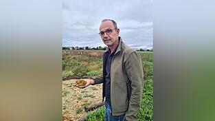 Landwirt Franz Lehner legte in seiner Blühwiese ein Sandarium an, das innerhalb kurzer Zeit von Sandbienen bewohnt wurde. Landwirt Franz Lehner legte in seiner Blühwiese ein Sandarium an, das innerhalb kurzer Zeit von Sandbienen bewohnt wurde.