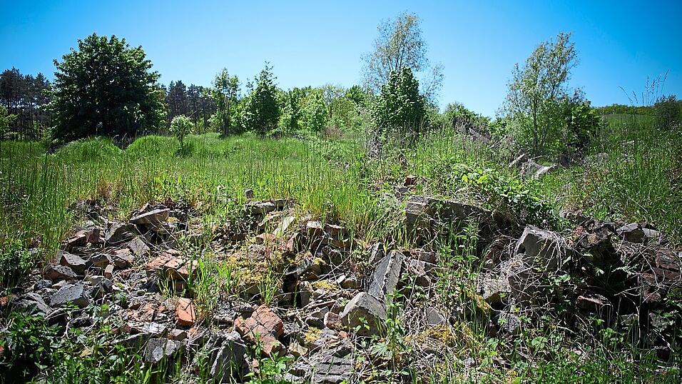 Ein solches Bild von in freier Natur abgelagertem Bauschutt will nat&uuml;rlich niemand sehen. Der Marktrat sah sich wegen des steigenden Defizits bei der Entsorgung von Bauschutt und Gr&uuml;ngut nun allerdings gezwungen, die Geb&uuml;hren f&uuml;r die Anlieferung dieser beiden Fraktionen im Wertstoffhof zu erh&ouml;hen.
