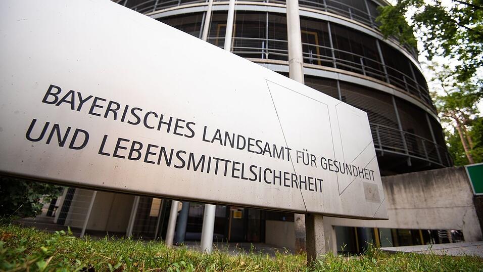 Das Landesamt für Gesundheit und Lebensmittelsicherheit warnt vor dem Kontakt mit Spitzmäusen. (Symbolbild) Das Landesamt für Gesundheit und Lebensmittelsicherheit warnt vor dem Kontakt mit Spitzmäusen. (Symbolbild)