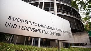 Das Landesamt f&uuml;r Gesundheit und Lebensmittelsicherheit warnt vor dem Kontakt mit Spitzm&auml;usen. (Symbolbild)