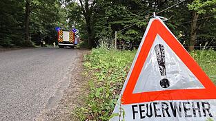 Die Gefahr von Waldbränden nimmt in Deutschland wieder zu. (Symbolbild) Die Gefahr von Waldbränden nimmt in Deutschland wieder zu. (Symbolbild)