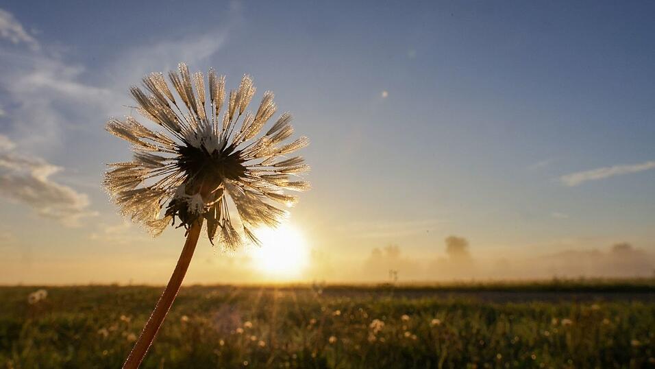 Freundliches Wetter und sommerliche Temperaturen sagt der Deutsche Wetterdienst für die nächsten Tage vorher. Freundliches Wetter und sommerliche Temperaturen sagt der Deutsche Wetterdienst für die nächsten Tage vorher.