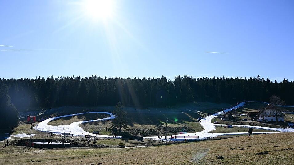 Bilder, die der Kombination Sorgen bereiten: Weiße Teppiche in grüner Natur. (Archivbild) Bilder, die der Kombination Sorgen bereiten: Weiße Teppiche in grüner Natur. (Archivbild)