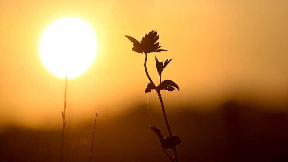 Der Temperaturdurchschnitt lag in diesem Sommer bei 19,5. (Symbolbild) Der Temperaturdurchschnitt lag in diesem Sommer bei 19,5. (Symbolbild)