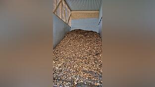 Hackschnitzel, wie in der Therme in Kagers, tragen zu einem g&uuml;nstigen Fernw&auml;rmepreis bei, aber auch dazu, dass der Anteil der erneuerbaren Energien im Straubinger W&auml;rmenetz bei bis zu 85 Prozent liegt.