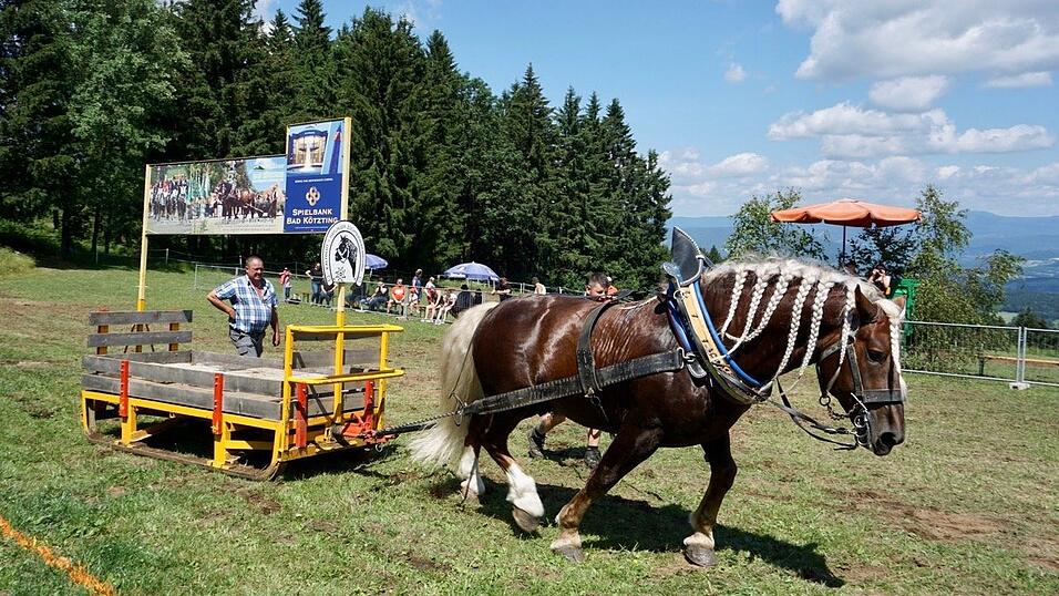 Klaus Wittmann mit Hengst Salin ist taktisch klug am oberen Rand des Zugkorridors unterwegs. Klaus Wittmann mit Hengst Salin ist taktisch klug am oberen Rand des Zugkorridors unterwegs.