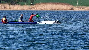 Der Buckelwal wird von Helfern vor der Insel Poel mit Wasser aus einer Gie&szlig;kanne bespritzt.