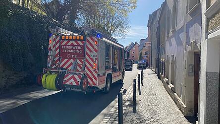 Der L&ouml;schzug Zentrum der Freiwilligen Feuerwehr Straubing war im Einsatz.