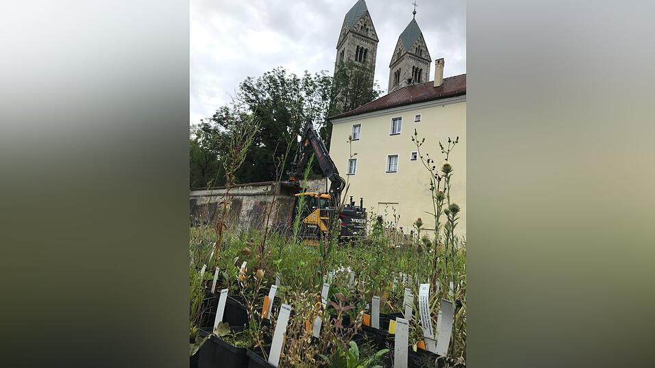 Viele tausend Pfl&auml;nzchen wachsen in den T&ouml;pfen der Stadtg&auml;rtnerei.