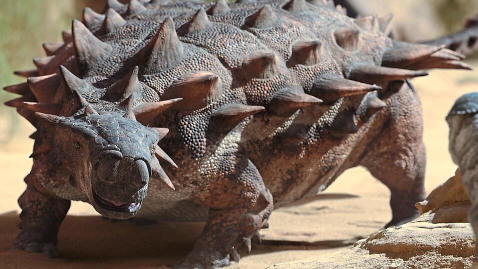 Wunderschön, beeindruckend und manchmal auch ein wenig seltsam sind die Tiere, die in der Serie 'Prehistoric Planet' zu sehen sind - so auch diese Ankylosaurier-Spezies namens Tarchia, die wie ein Panzer daherkommt. Wunderschön, beeindruckend und manchmal auch ein wenig seltsam sind die Tiere, die in der Serie 'Prehistoric Planet' zu sehen sind - so auch diese Ankylosaurier-Spezies namens Tarchia, die wie ein Panzer daherkommt.
