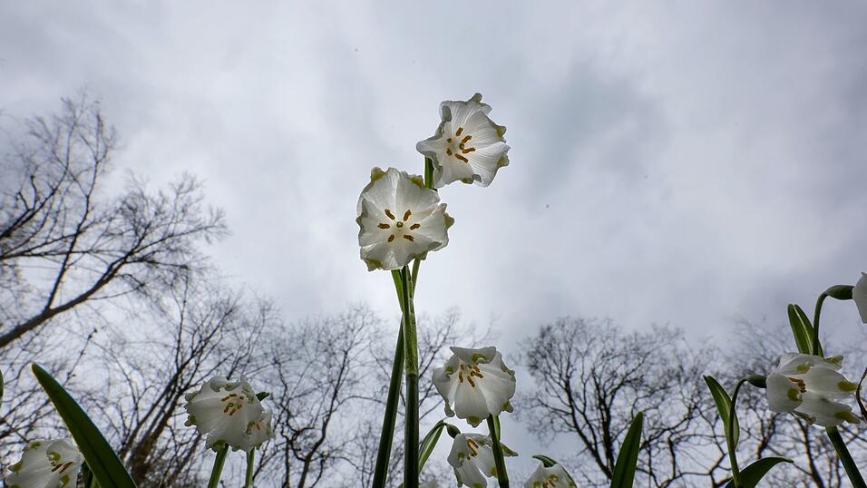 Das Wetter in Deutschland zeigt sich in den kommenden Tagen von seiner ungem&uuml;tlichen Seite. (Symbolbild)