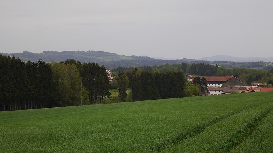 Nicht weit vom Ort der Wolfssichtung befindet sich Dobl.