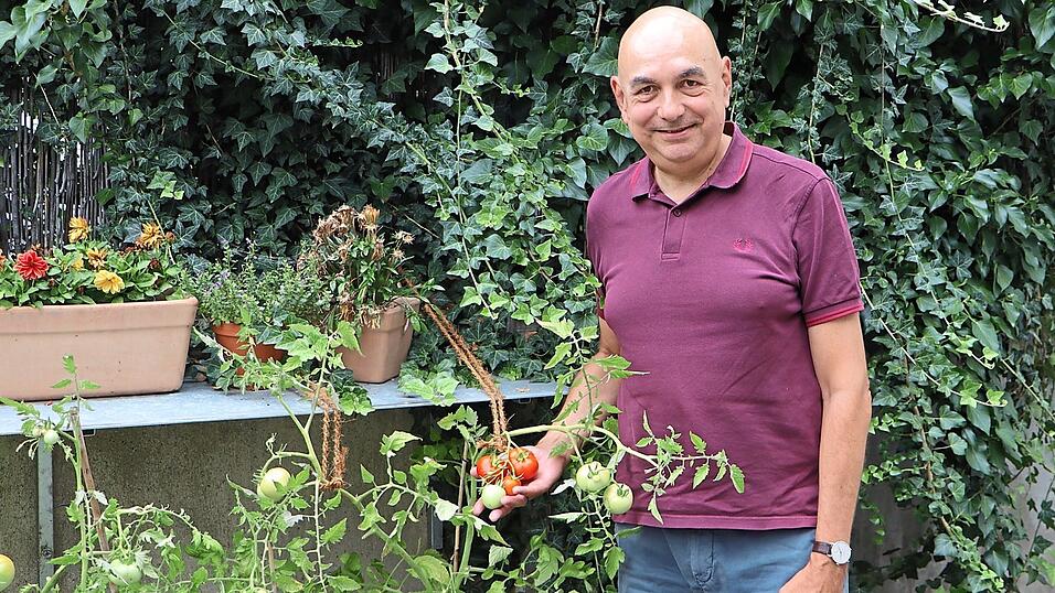 Ein paar rote Tomaten hängen an den Pflanzen im Garten von Jürgen Mistol. 'Ich gärtnere ein bisschen', sagt er über sich, oft fehle ihm aber die Zeit zum Gießen.