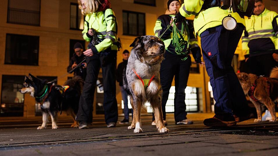 Mit einem Aufgebot an Einsatzkr&auml;ften, Drohnen und Hunden suchten Einsatzkr&auml;fte am Donnerstag nach einem 57-J&auml;hrigen. (Symbolbild)