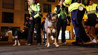 Mit einem Aufgebot an Einsatzkr&auml;ften, Drohnen und Hunden suchten Einsatzkr&auml;fte am Donnerstag nach einem 57-J&auml;hrigen. (Symbolbild)