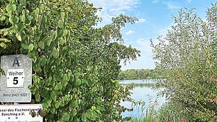 Das Unglück passierte nach Angaben der Einsatzkräfte am Weiher 5 in Atting.