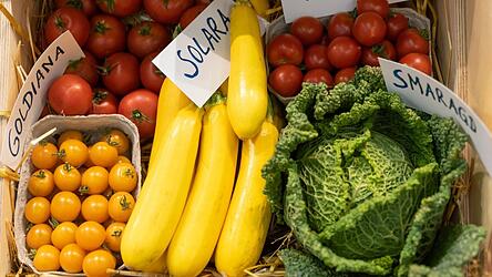 Bunt, bayerisch, bio: So lautet die Idealvorstellung. Aber noch hinkt der Freistaat den eigenen Zielen in der &Ouml;kolandwirtschaft hinterher.