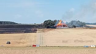 Das Feuer griff vom Feld auf die B&auml;ume nebendran &uuml;ber.