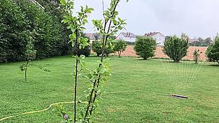 Rasensprengen bei Regen: Schaut zunächst merkwürdig aus, ist aber wohldurchdacht.