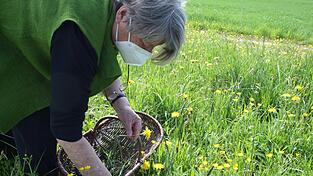 Normal unternimmt Kr&auml;uterp&auml;dagogin Katharina Schober, auch organisiert von der Volkshochschule, Kr&auml;uterwanderungen mit Interessierten. W&auml;hrend Corona sind die allerdings ausgesetzt. Eine kurze Beratung bei Fragen unter Einhaltung der Hygieneregeln sei aber kein Problem.