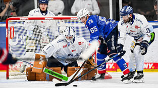 Siegtorsch&uuml;tze Justin Scott (rechts) und ein starker Florian Bugl im Tor brachten die Straubing Tigers, die als Mannschaft eine gute Defensivleistung zeigten, in Mannheim auf die Siegerstra&szlig;e.
