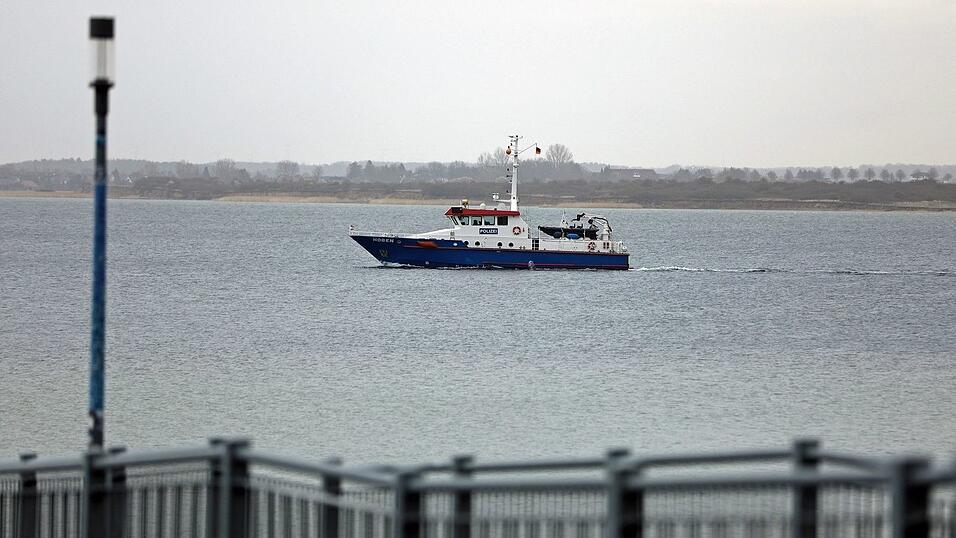 Das Tier war zwischenzeitlich abgetaucht, wurde aber am Dienstagvormittag erneut gesichtet. (Archivbild)
