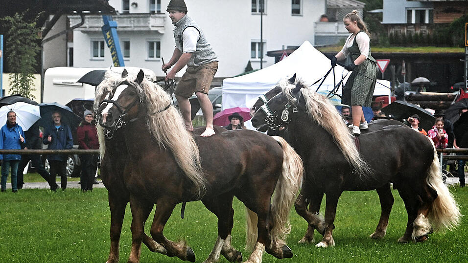 Ungarische Post zeigten Stefan Schedlbauer und seine Schwägerin Anna Eyerer. Ungarische Post zeigten Stefan Schedlbauer und seine Schwägerin Anna Eyerer.