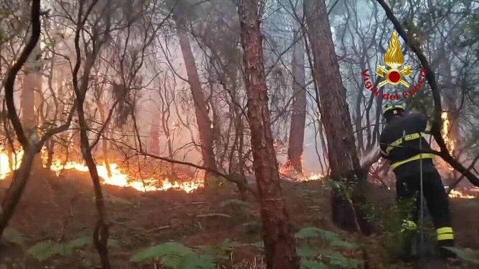 Wegen des Waldbrands haben mehr als 3.500 Menschen ihre H&auml;user verlassen m&uuml;ssen.
