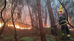 Wegen des Waldbrands haben mehr als 3.500 Menschen ihre H&auml;user verlassen m&uuml;ssen.