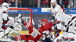 Allein unter Oberschwaben: Yannick Wenzel und seine Landshuter sind am Sonntagabend in der mit 4.448 Zuschauern zum dritten Mal hintereinander ausverkauften Fanatec-Arena abermals unsanft auf dem Hosenboden gelandet und aus den DEL2-Playoffs geflogen.