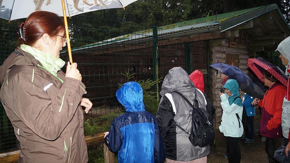 Ein Naturerlebnis ganz besonderer Art war der Rundgang bei Regen im Tierpark, bei dem das Wohlgefühl der Tiere gut zur Geltung kam. Ein Naturerlebnis ganz besonderer Art war der Rundgang bei Regen im Tierpark, bei dem das Wohlgefühl der Tiere gut zur Geltung kam.