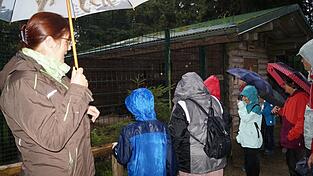 Ein Naturerlebnis ganz besonderer Art war der Rundgang bei Regen im Tierpark, bei dem das Wohlgefühl der Tiere gut zur Geltung kam.