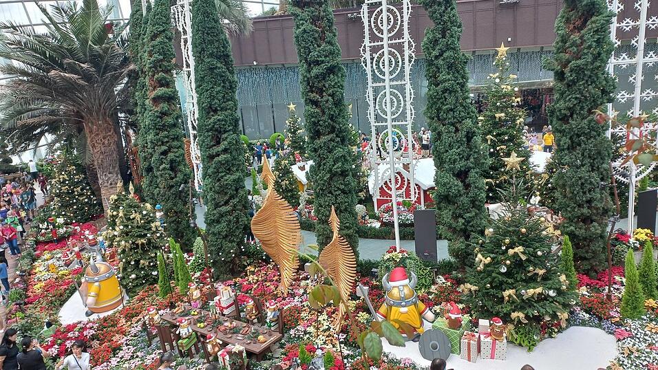 Bilder aus dem vorweihnachtlichen Singapur.