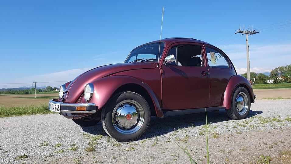 Auch heuer ist der Hauptgewinn bei der Tombola ein VW Käfer. Auch heuer ist der Hauptgewinn bei der Tombola ein VW Käfer.