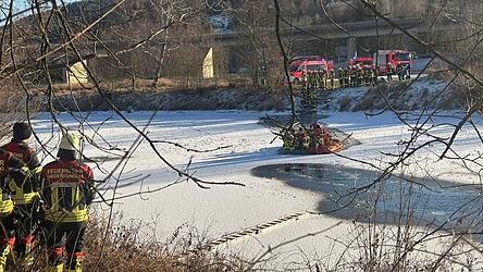 Die Feuerwehren kämpfen um das Leben des Rehs, das in den Regen eingebrochen ist. Doch vergeblich - das Tier wurde danach getötet. Die Feuerwehren kämpfen um das Leben des Rehs, das in den Regen eingebrochen ist. Doch vergeblich - das Tier wurde danach getötet.