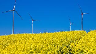 Ein Bundesgesetz hat den Kommunen Arbeit und Diskussion bereitet. Es geht um die Frage, wo Windräder vorrangig entstehen dürfen - im Sinne der Energiewende hin zu klimaverträglicheren Erneuerbaren.