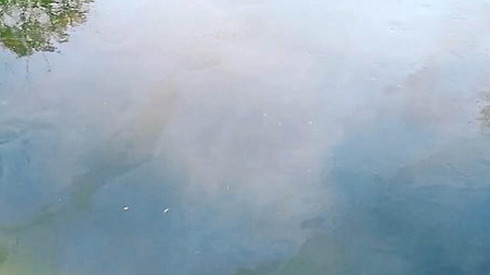 Eine Spaziergängerin stellte am Sonntag einen Ölfilm auf dem Mühlbach beim Grieshaus fest. Eine Spaziergängerin stellte am Sonntag einen Ölfilm auf dem Mühlbach beim Grieshaus fest.