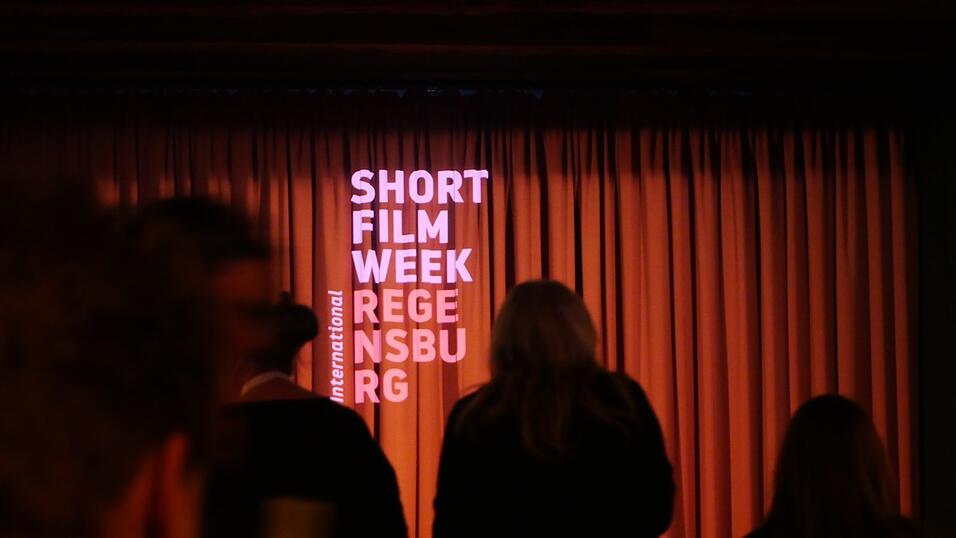 256 Kurzfilme aus 59 L&auml;ndern verteilt auf 56 Programme in sechs Kinos: Das ist die Kurzfilmwoche in Zahlen.