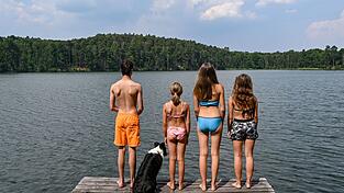 Urlaub in der Natur: Auch Hunde lieben den Badespaß am See. Urlaub in der Natur: Auch Hunde lieben den Badespaß am See.