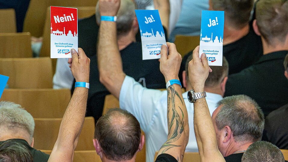 Mitglieder der bayerischen AfD stimmen auf dem Landesparteitag der Partei in der Dreiländerhalle ab. Mitglieder der bayerischen AfD stimmen auf dem Landesparteitag der Partei in der Dreiländerhalle ab.