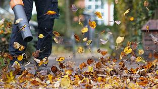 Zürich will den Einsatz nur noch von Oktober bis Dezember erlauben. (Symbolfoto)