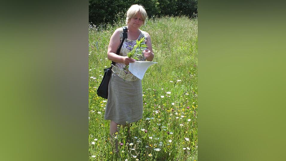 Angelika Ruhland konnte den Teilnehmern etliche Pflanzen zeigen, die den Erfolg solcher Bl&uuml;hfl&auml;chen ausmachen. Die Artenvielfalt hat nachweislich zugenommen.