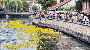 Quietschgelb war die Isar zwischen Luitpoldbrücke und Maxwehr am Sonntag kurz nach 14 Uhr.