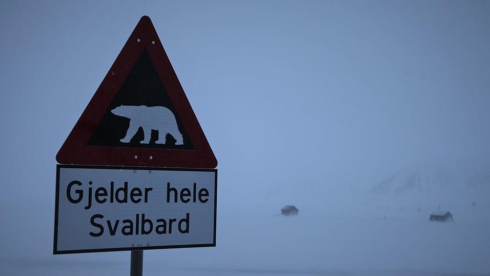 Ein Schild warnt auf Spitzbergen vor Eisbären. (Symbolbild) Ein Schild warnt auf Spitzbergen vor Eisbären. (Symbolbild)