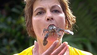 W&auml;hrend der Bauarbeiten eines Turms bekam Fr&auml;ulein Menke einen lebenden Flusskrebs in den Mund gesteckt.