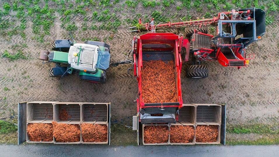 Der &Ouml;ko-Anteil an der Agrarfl&auml;che w&auml;chst nur sehr langsam. (Archivbild)