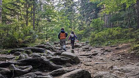 Mit Kindern ein ganz besonderes Erlebnis: Abwechslungsreich gestaltet sich der Aufstieg über steinige Felstreppen und wurzeldurchzogene Pfade.