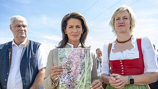 Weniger erfreulich als die Erntebilanz der Kartoffelanbauer sind laut Landwirtschaftsministerin Michaela Kaniber (M.), BBV-Bezirkspräsident Hermann Greif und der Kelheimer Landtagsabgeordneten Petra Högl die Perspektiven des Gemüseanbaus durch Schädlinge. Das Foto zeigt eine von der Glasflügelzikade befallene Karotte.