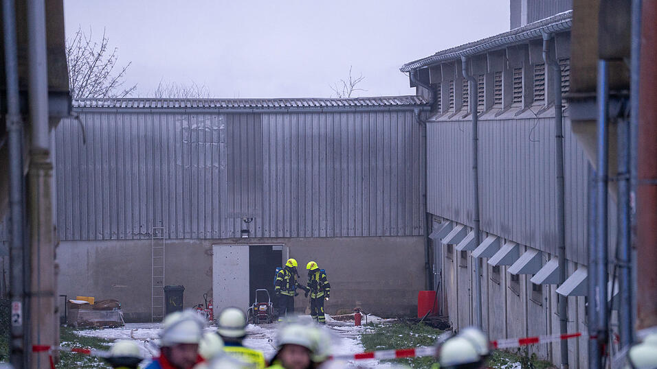 In dem Betrieb sind laut Polizei nahezu 120.000 Hühner untergebracht.