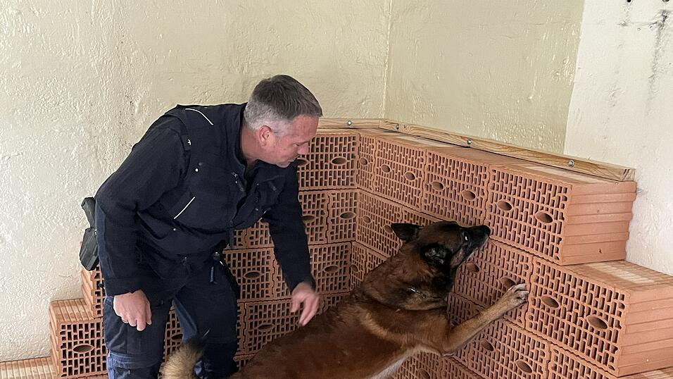 Suchübungen und Zubeißen auf Kommando: Im Rahmen ihrer Ausbildung müssen bayerische Polizeihunde zahlreiche Prüfungen ablegen. Suchübungen und Zubeißen auf Kommando: Im Rahmen ihrer Ausbildung müssen bayerische Polizeihunde zahlreiche Prüfungen ablegen.